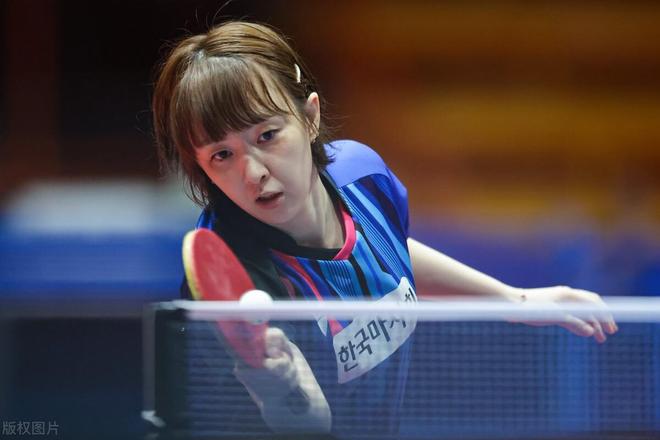 小贝的到来 小贝的到来