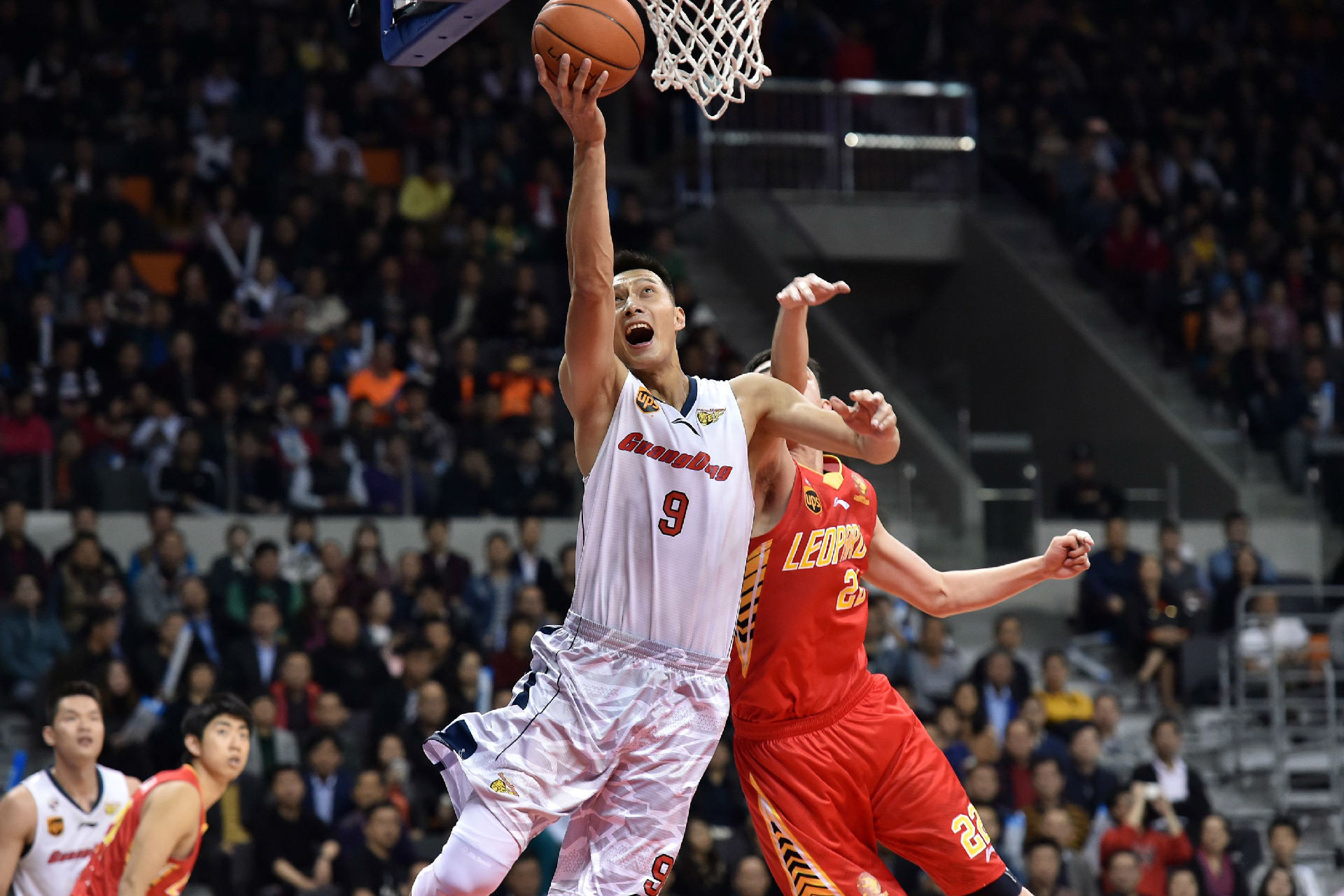 少数案例显 少数案例显